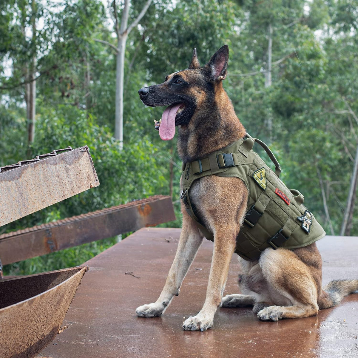 OneTigris Large Tactical Dog Harness No Pull Handle XL Black – Essentials for Dogs - Small / Green - image 3