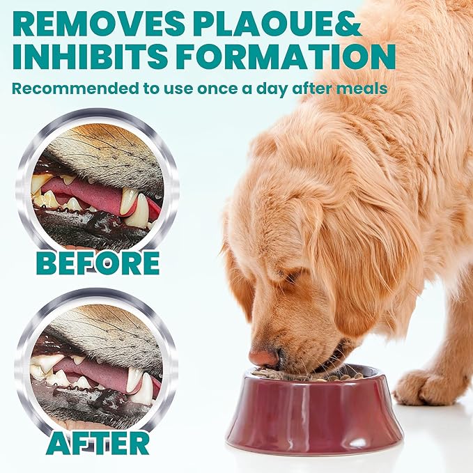 Wider Dental Care Finger Wipes 60 Counts,Teeth Cleaning Finger Wipes for Dogs & Cats,Reduces Plaque & Supports Oral Freshness, Small Animal Stain Removers, Coconut Scent