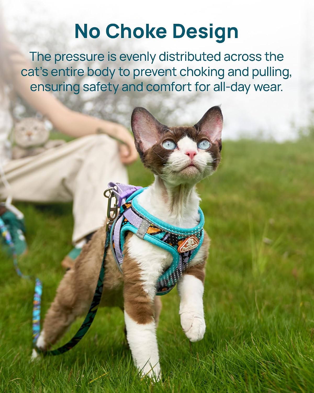 Upgraded Cat Harness and Leash Set - Blue Butterfly Magic / M - image 2