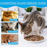 Ceramic Cat Slow Feeder,Shallow and Wide Opening Dish for Whisker Friendly – Essentials for Cats - Soccer Maze - image 3