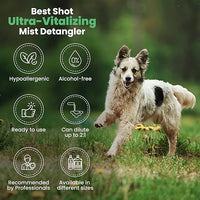 Best Shot Ultra Vitalizing Mist Detangler, 16 oz