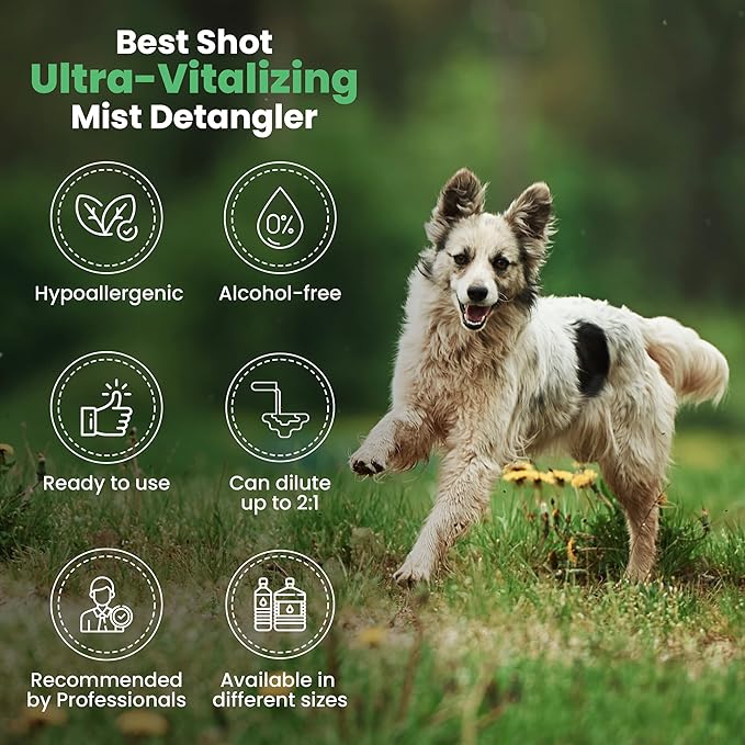Best Shot Ultra Vitalizing Mist Detangler, 16 oz
