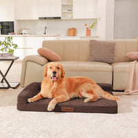 Orthopedic Dog Beds Large Sized Dog, 3 Inch Memory Foam Pet Bed for Medium and Large Dogs, Washable Removable Cover, Nonskid Bottom, Waterproof, 44x32 Inches XXL Brown Grey