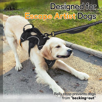 rabbitgoo Escape Proof Dog Harness for Large - Black / Large - image 2