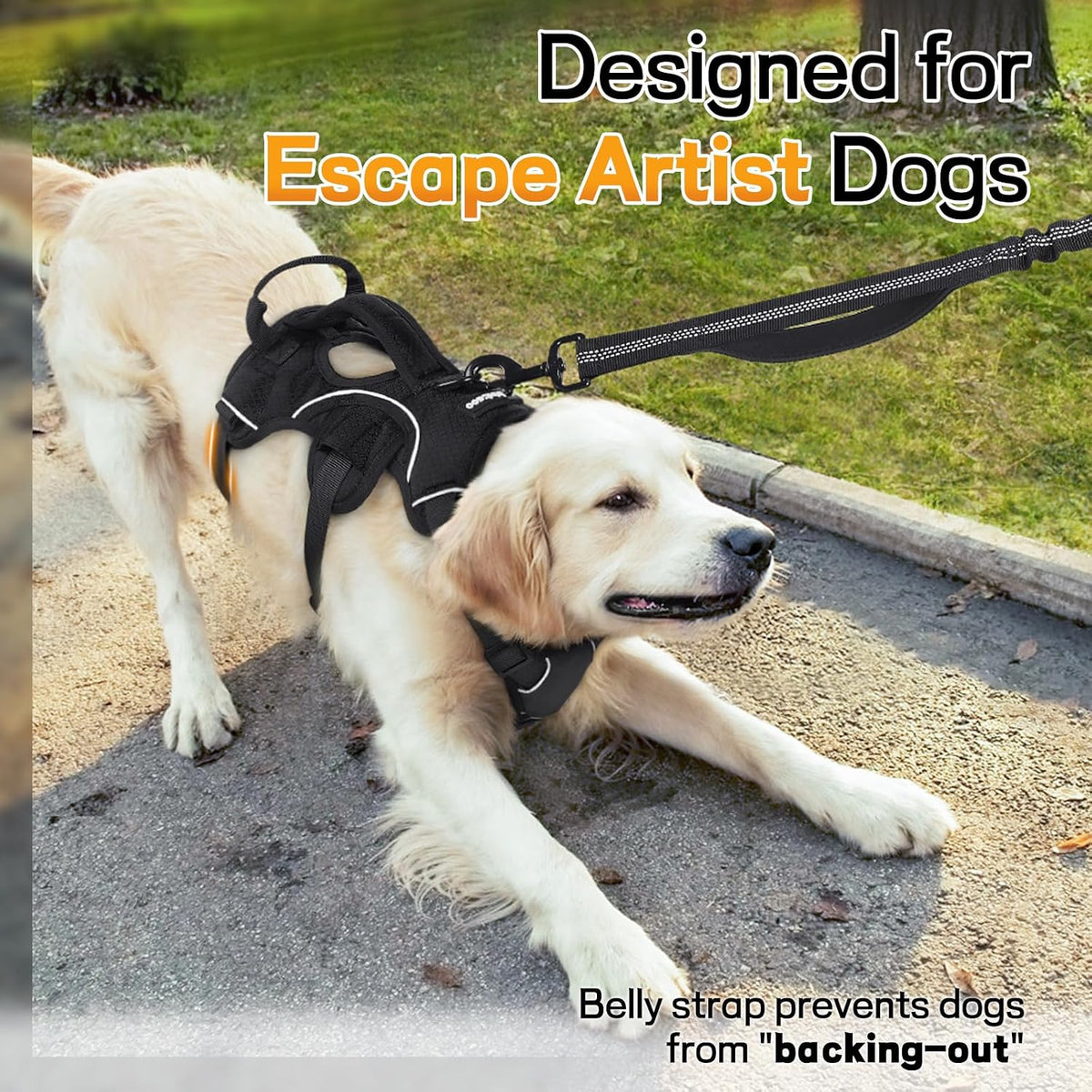 rabbitgoo Escape Proof Dog Harness for Large - Black / Large - image 2