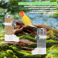 Automatic Bird Feeder and Water Dispenser, Budgie, Lovebirds - White 140ml - image 3