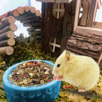 2 Pcs Hamster Food Bowl Guinea Pig Ceramic Water Bowl Small Animal - Blue / 2Pcs:S - image 2
