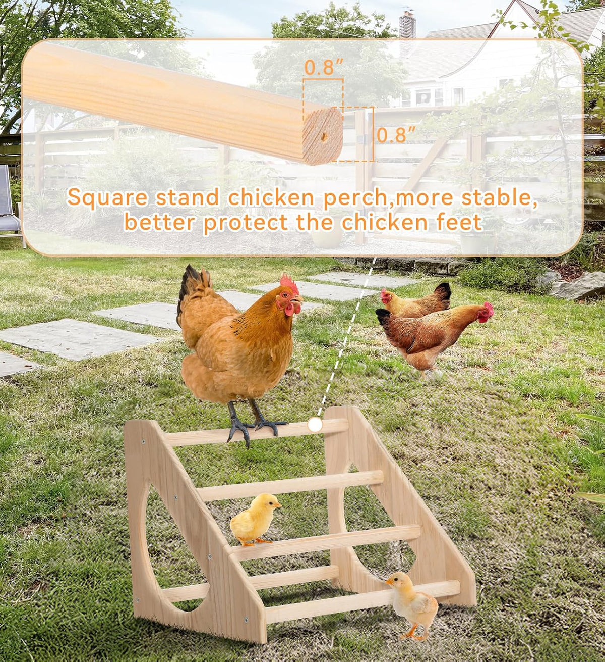 PETSFIT Baby Chick Roosting Bar, Anti-Rotation, Solid Wood - 13.6“L×14.4W×11.4"H / Basic - image 3