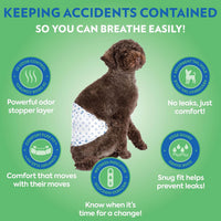 OUT! PetCare Male Dog Diapers, Disposable Belly Bands - M/L / 32 Count - image 3
