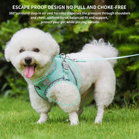 Breathable Dog Harness Small Sized and Leash Set - Turquoise / XXS(Chest: 10 - 11.5") - image 2