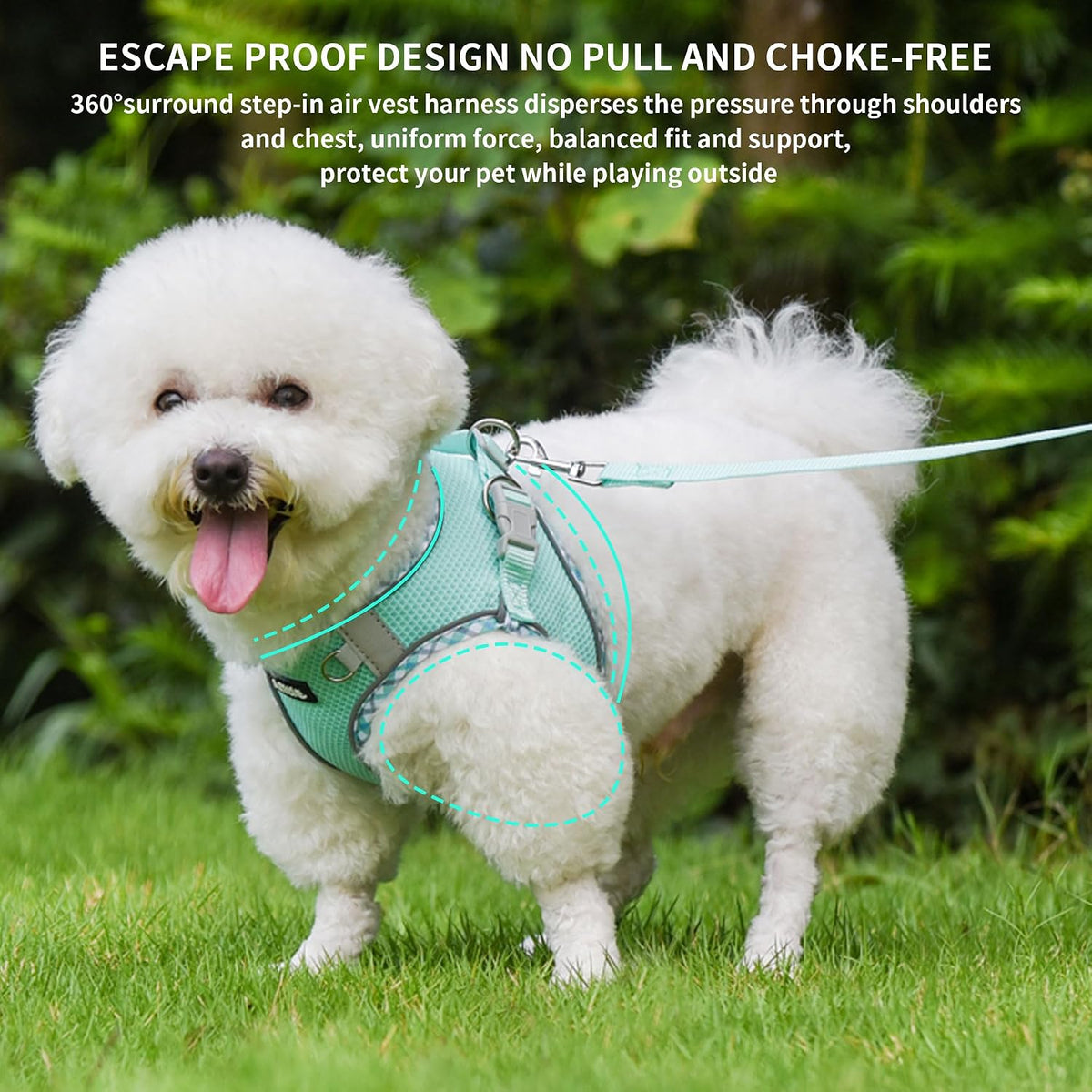 Breathable Dog Harness Small Sized and Leash Set - Turquoise / XXS(Chest: 10 - 11.5") - image 2