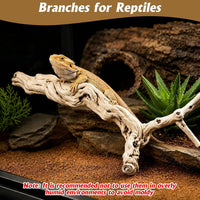 VCEPJH Snake Climbing Branch - Panlong Wood (XL:15"-17.7"-1pcs) / 1 - image 2