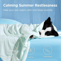 Bedsure Breathable Lightweight Cooling Blanket for Small Dogs - Twin(60x80") / Pale Jade - image 2