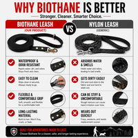 Biothane Leash, Brass, 6 ft x 5/8, Black – Essentials for Dogs - 5/8 / Black - image 3