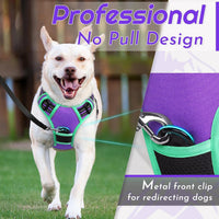 Eagloo Dog Harness for Large Dogs - Large / Purple & Turquoise - image 2
