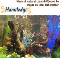Aquarium Driftwood 3PCS Natural Trunk Driftwood Assorted Branches - Mopani driftwood 3.5-7in 5PCS - image 3