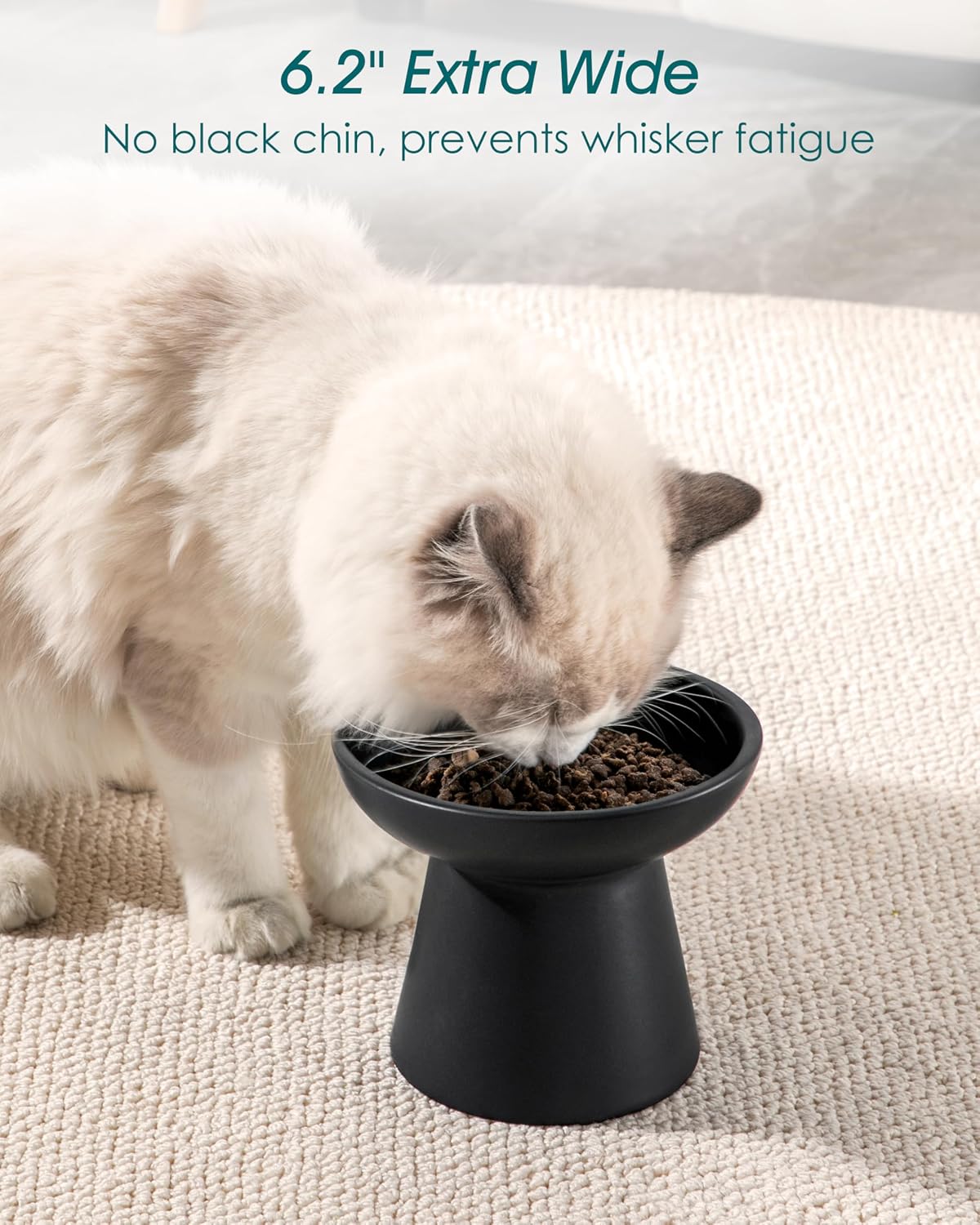 vancasso 2-Pack 6.2" Wide Elevated Cat Bowls - Black / Food & Water Bowl Set - image 4