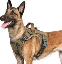 rabbitgoo Tactical Dog Harness for Large - Desert Camo / L(Chest:22"-37",Neck:21.1"-30.3",Back:8.3")