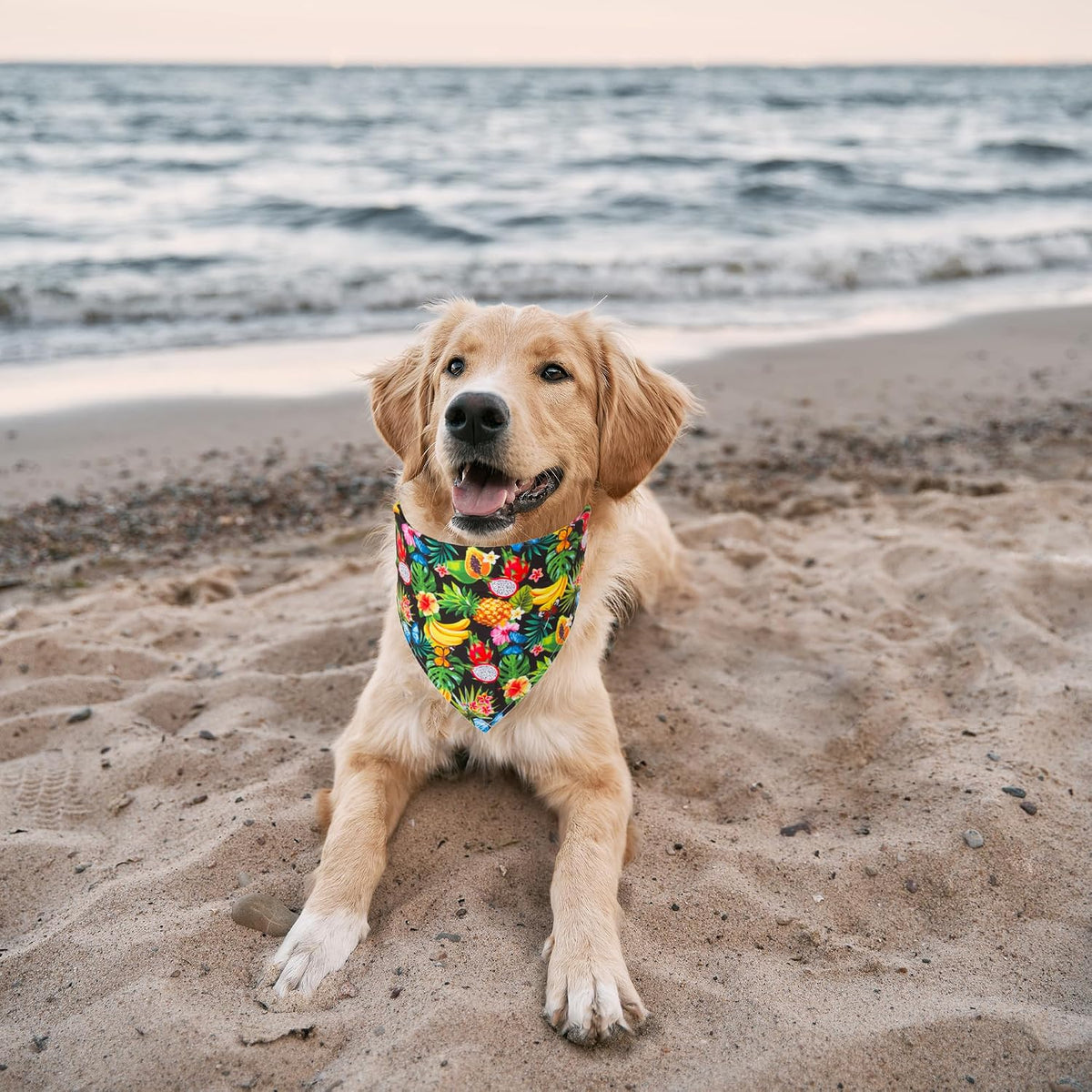 Halloween Dog Bandanas, L - X-Large / Summer - image 4