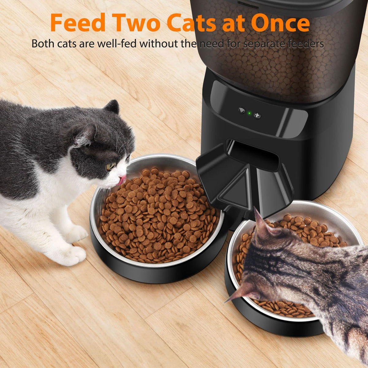 Automatic Cat Feeders for Two Cats - Black / WiFi - image 4