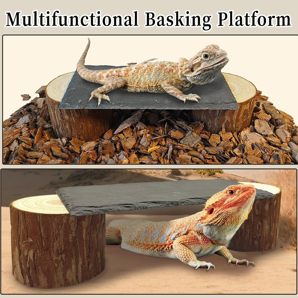 Bearded Dragon Basking Platform - L - 8" x 4" x 2.4" - image 2