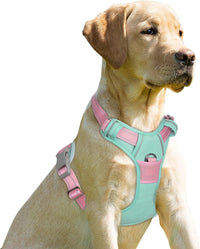 BARKBAY Dog Harness No Pull for Large Dogs Front Back Clips - Medium(Chest:22.5-28") / Cool Mint & Baby Pink