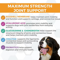 Nootie ProgilityMAX Hip & Joint Supplement for Large Dogs, Maximum Strength Dog Joint Support with Eggshell Membrane, Glucosamine and Chondroitin, 60 Count