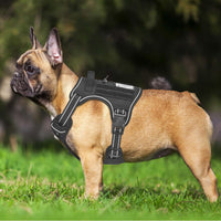 Beebiepet Tactical No Pull Dog Harness with Leash - Black / Medium - image 2