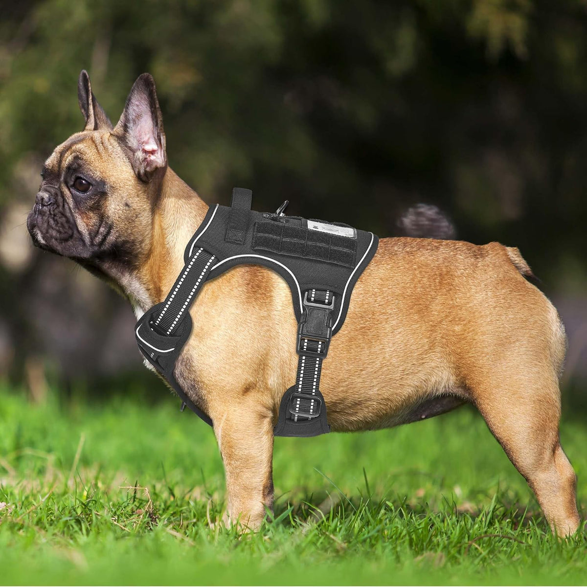 Beebiepet Tactical No Pull Dog Harness with Leash - Black / Medium - image 2