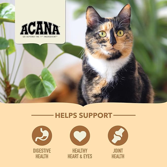 ACANA Dry Cat Food for Seniors Senior Entrée Chicken Turkey and Duck 10lb Bag