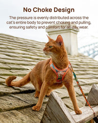 Upgraded Cat Harness and Leash Set - Orange King of The Jungle / S - image 2