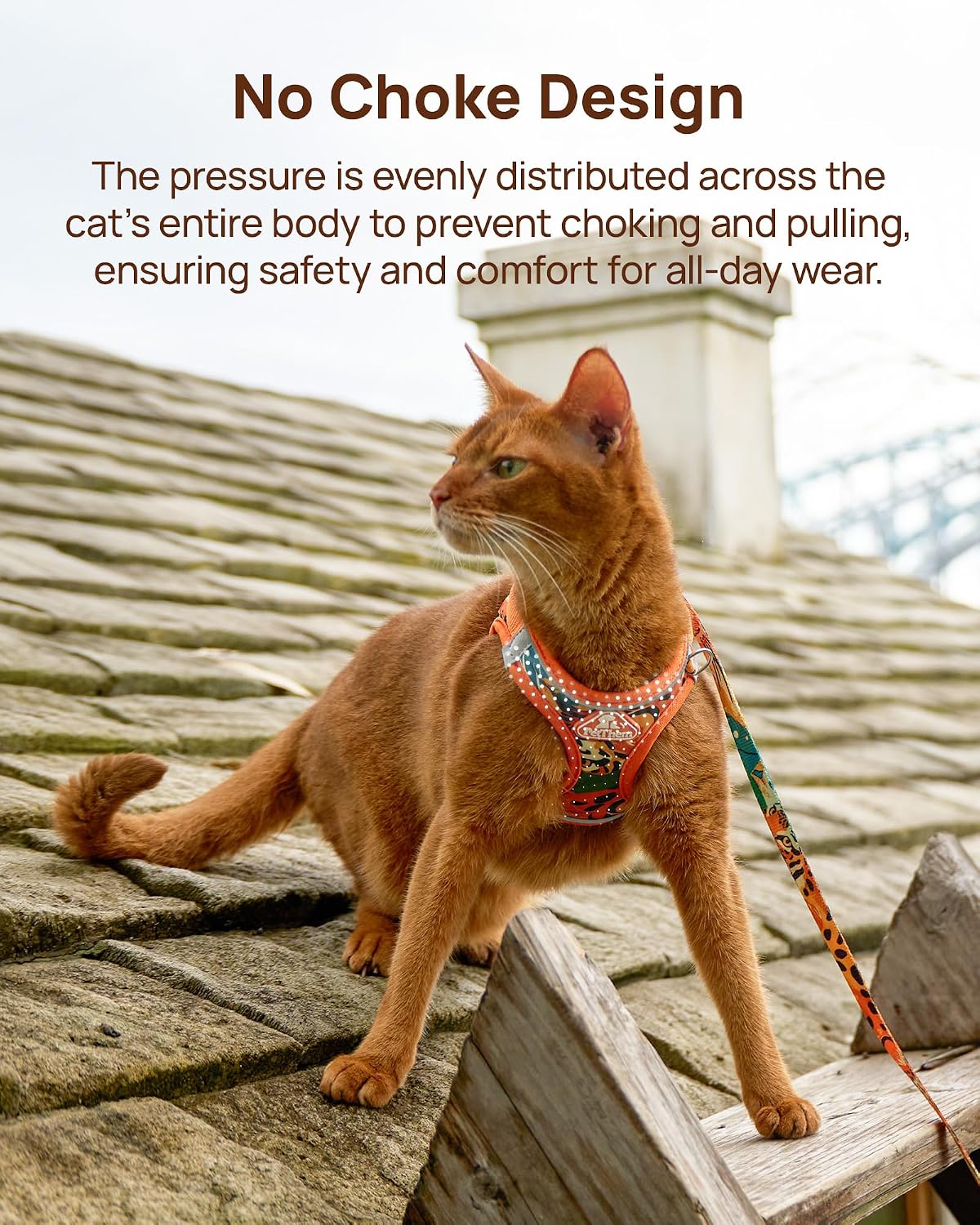 Upgraded Cat Harness and Leash Set - Orange King of The Jungle / S - image 2