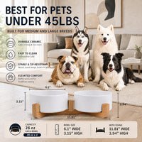 Ceramic Cat Dog Bowl Set with Stand - White / 850ML*2 - image 3