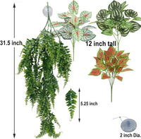 Reptile Plants for Bearded Dragon Tank Accessories - Group Bn - image 4