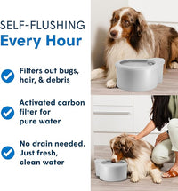 Always Full® 9" Pet Water Bowl and Bottle Pump Bundle, Self-Refilling, Clean Filtered Water, App-Enabled Hydration Monitoring, Easy Upgrade to Wall Unit, Cat and Dog Water Bowls
