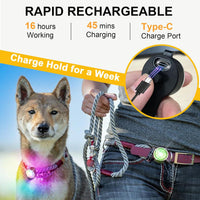 2-Pack Dog Lights for Night Walking - 3 - image 3