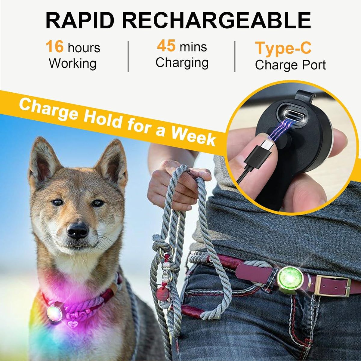 2-Pack Dog Lights for Night Walking - 3 - image 3