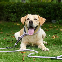 Rope Dog Leash, 4 ft Heavy Duty Dog Leash with Aviation Aluminum Auto Locking Carabiner, Strong Nylon Pet Lead for Small, Medium, Large Dogs (Navy Blue, 4FT)