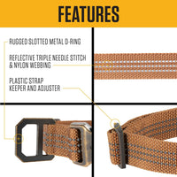Carhartt Nylon Dog Collar Hunter Orange L – Essentials for Dogs - Shaded Spruce / Medium 12-18"(L) X 3/4"(W) - image 2