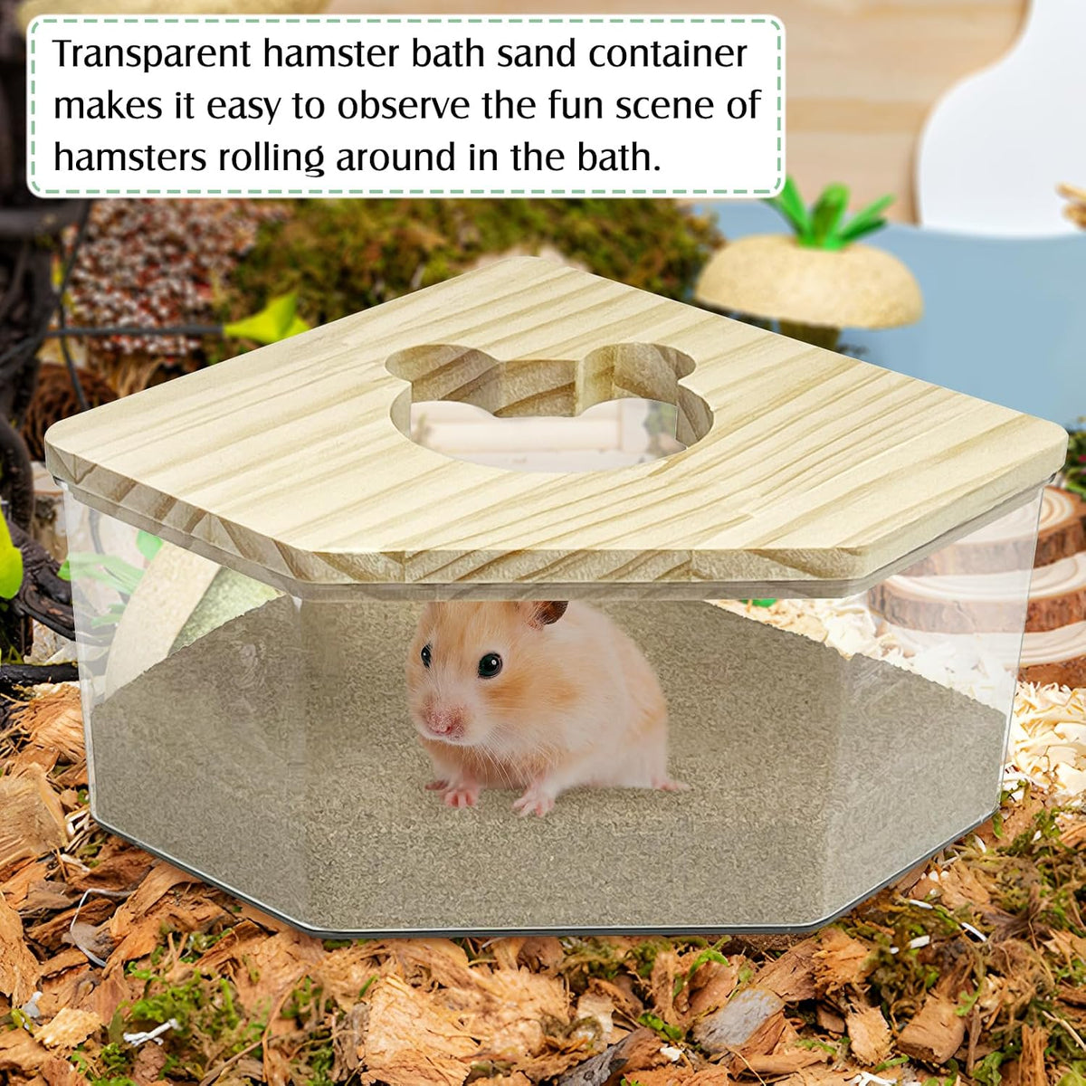 kathson Hamster Sand Bath Box Transparent Acrylic Small Animals - Large - Pentagon - image 4
