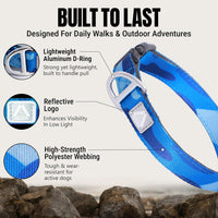 Medium Dog Collar, Neck 12"-20" - Large (Neck 16’’-25’’) / Camo Blue - image 3