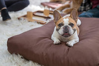 K9 Ballistics Tough Rectangle Pillow Large Dog Bed - Removable Cover, Washable, Durable & Water Resistant Dog Bed Made for Big Dogs 40"x34", Obsidian Black