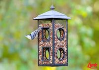 Lyric Delite Wild Bird Seed for Outside Feeders - No Waste Bird Food, Nuts & Seeds Mix, Attracts Buntings, Chickadees & Finches, 10 lb (Pack of 2-5 lb Bags)