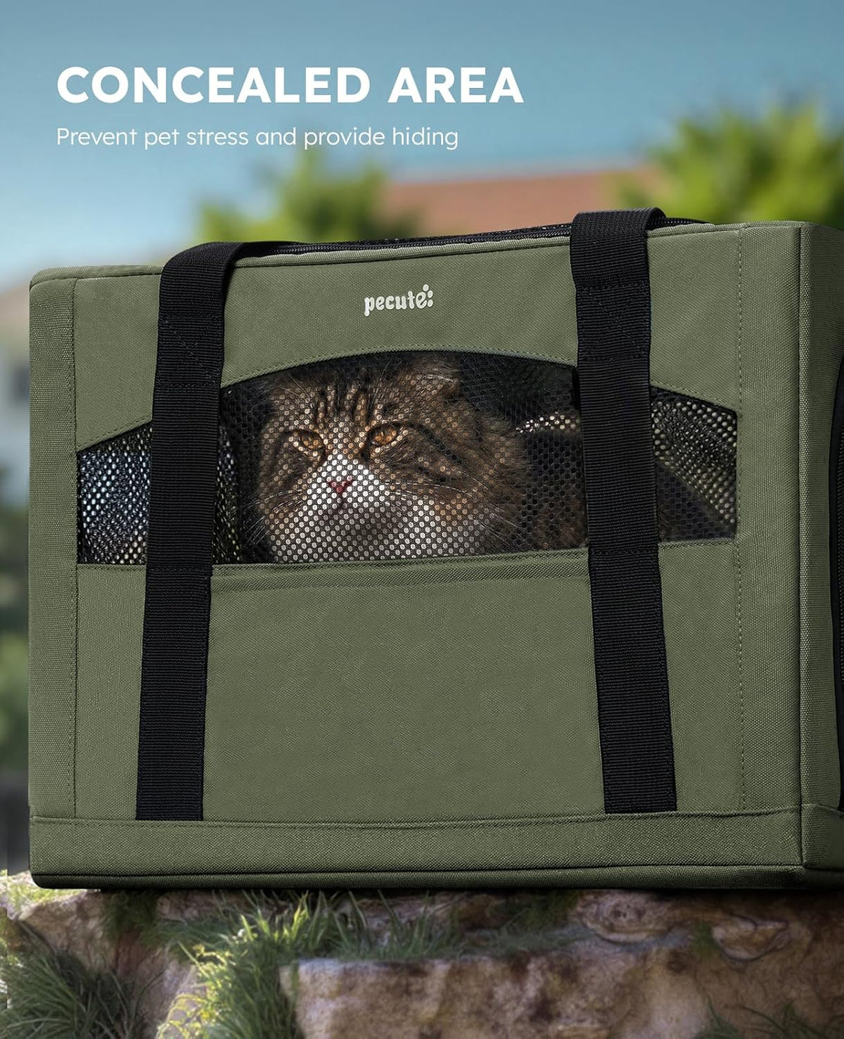 Pecute Cat Carrier Stable, Pet Carrier with Privacy Partition - Green / 19.6"L x 14.9"W x 13.7"H - image 4