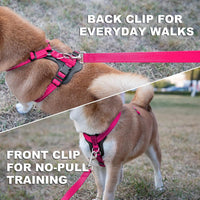 Plutus Pet No Pull Dog Harness with Leather Accents - XL / Hot Pink - image 3