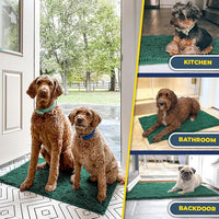 Muddy Mat® AS-SEEN-ON-TV Highly Absorbent Microfiber Dog Door Mat and Pet Rug, Non Slip Thick Washable Area and Bath Mat Soft Chenille for Kitchen Bathroom Bedroom and Indoor - Dark Green XXXL 72"X48"