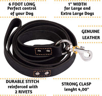ADITYNA Leather Dog Leash for Large, and Small Dogs - XL - 6 ft x 1 inch / Black - image 2