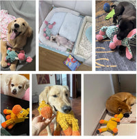 3 Pack Dog Toys Squeaky, Durable Stuffed Plush Puppy Chew Toy – Essentials for Dogs - image 3
