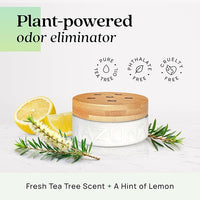 Azuna Air Freshener & Odor Eliminator for Strong Odor | 2 Room Kit Includes (2) 8 oz. Empty Luxe Glass Jars & 12 oz | Refill with Tea Tree Essential Oil Gel | Natural Scent | Last 60-90 Days