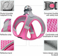 haapaw Dog Harness with Leash Set - M / Grey / Pink - image 2